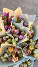 Load image into Gallery viewer, 2025 Tulip Subscription - DELIVERY