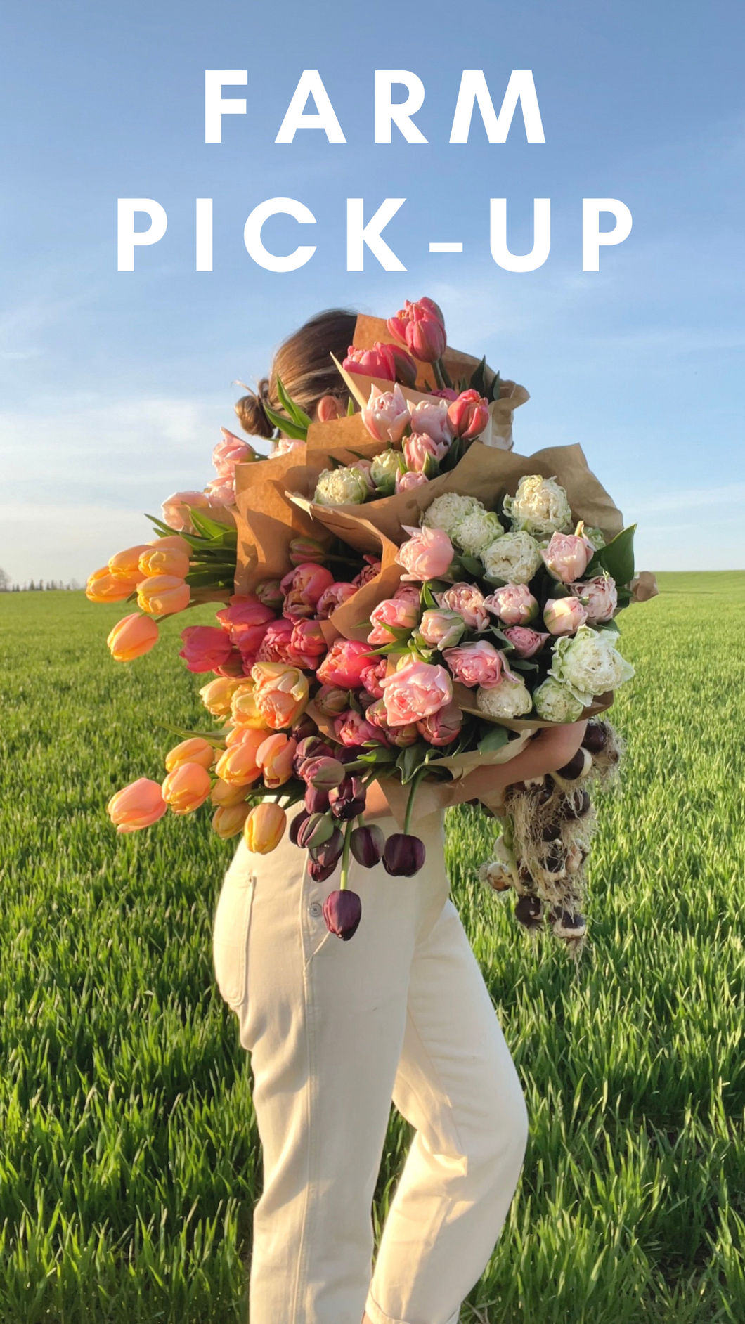 2025 Tulip Subscription - FARM PICK UP