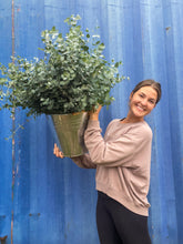Load image into Gallery viewer, FRESH EUCALYPTUS - 10 STEM BUNCH
